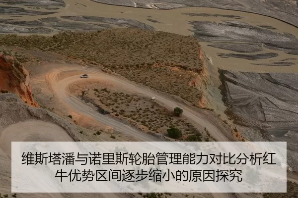 维斯塔潘与诺里斯轮胎管理能力对比分析红牛优势区间逐步缩小的原因探究