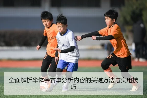 quan-mian-jie-xi-hua-ti-hui-sai-shi-fen-xi-nei-rong-de-guan-jian-fang-fa-yu-shi-yong-ji-qiao-2-692.jpg