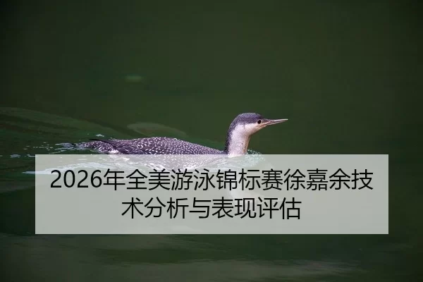 2026年全美游泳锦标赛徐嘉余技术分析与表现评估