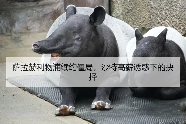 萨拉赫利物浦续约僵局，沙特高薪诱惑下的抉择
