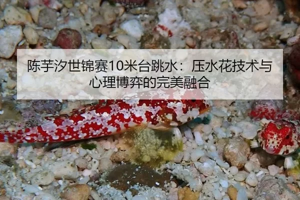 chen-yu-xi-shi-jin-sai-mi-tai-tiao-shui-ya-shui-hua-ji-shu-yu-xin-li-bo-yi-de-wan-mei-rong-he-3-250.jpg