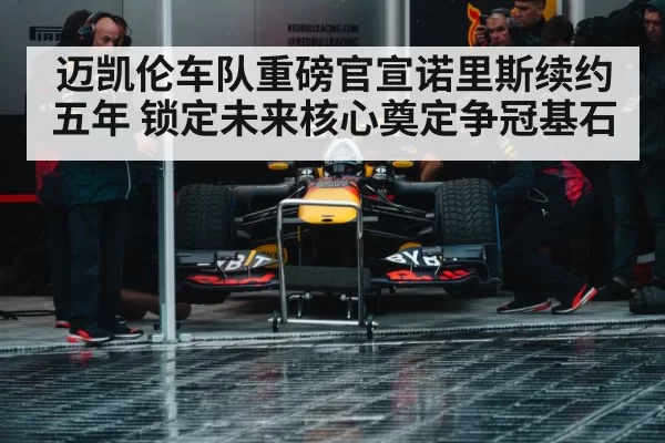 Formula 1 racing team